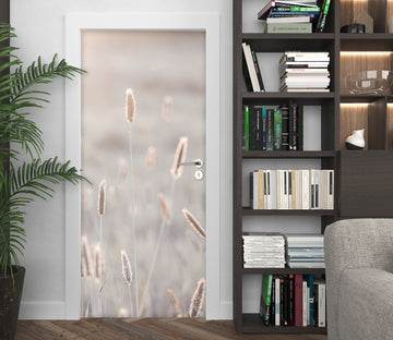 3D Setaria Viridis 5070 Assaf Frank Door Mural