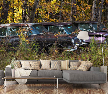 3D Forest River 103 Jerry LoFaro Wall Mural Wall Murals Wallpaper AJ Wallpaper 2 