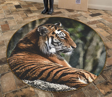 3D Tiger Turned 107 Animal Round Non Slip Rug Mat Mat AJ Creativity Home 