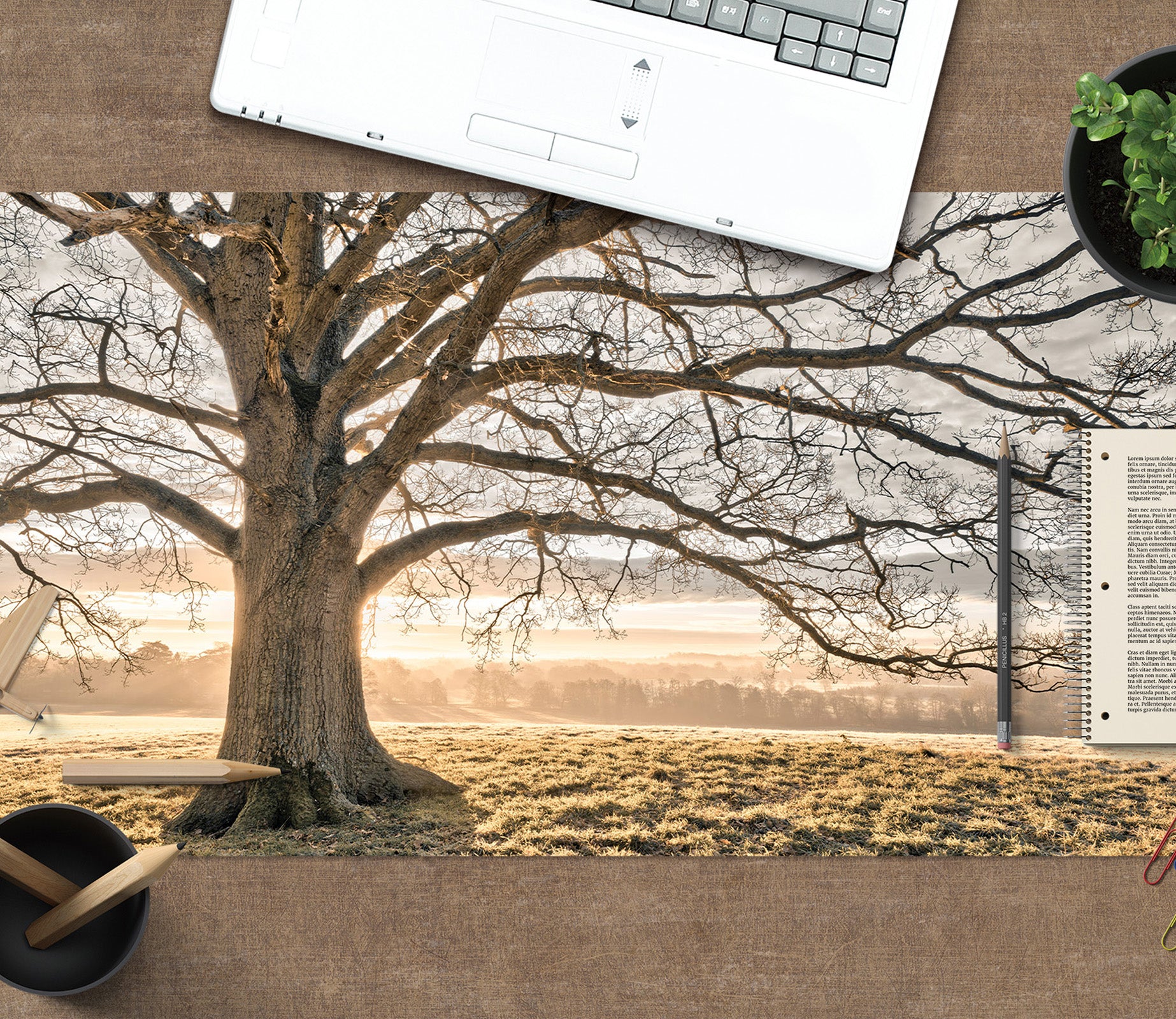 3D Tree Lawn 7765 Assaf Frank Desk Mat