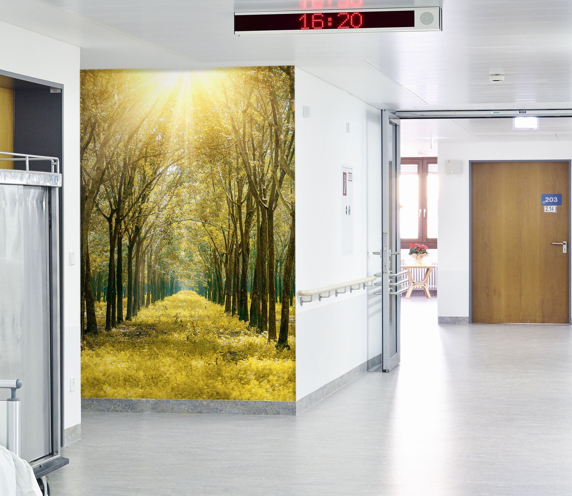 3D Sunshine Park Grass 049 Wall Murals Wallpaper AJ Wallpaper 2 