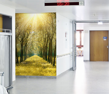 3D Sunshine Park Grass 049 Wall Murals Wallpaper AJ Wallpaper 2 