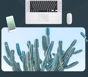 3D Cactus 12426 Assaf Frank Desk Mat