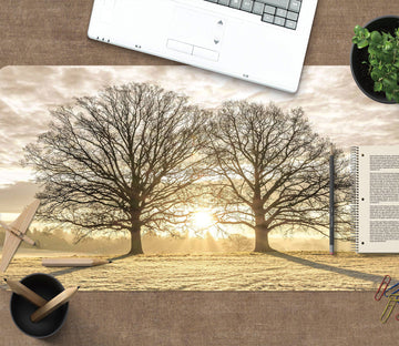 3D Sunset Tree Lawn 12458 Assaf Frank Desk Mat