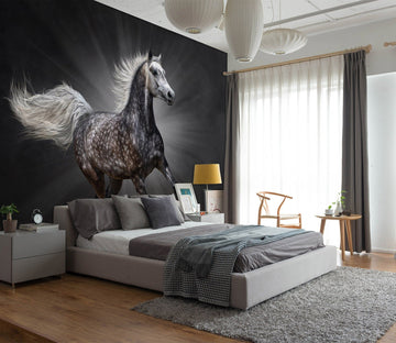 3D Dark Horse 2025 Wall Murals Wallpaper AJ Wallpaper 2 