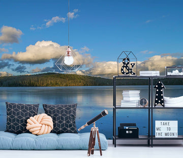 3D Sea Clouds 101 Jerry LoFaro Wall Mural Wall Murals Wallpaper AJ Wallpaper 2 