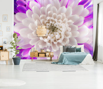 3D White Chrysanthemum 1421 Assaf Frank Wall Mural Wall Murals Wallpaper AJ Wallpaper 2 