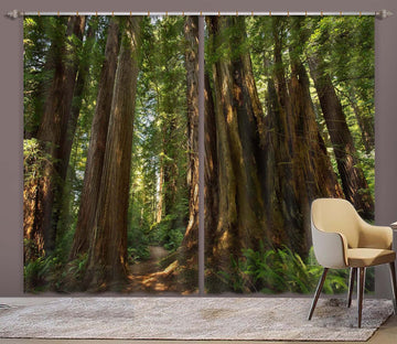 3D Old Forest 066 Kathy Barefield Curtain Curtains Drapes Curtains AJ Creativity Home 