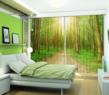 3D Sunny Forest 815 Curtains Drapes Wallpaper AJ Wallpaper 