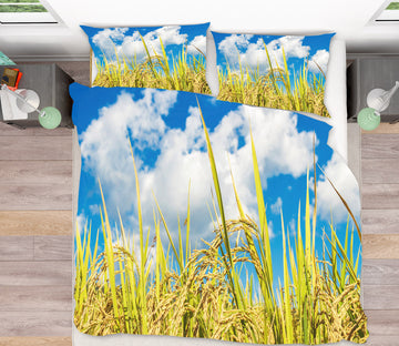 3D Wheat Sky 60238 Bed Pillowcases Quilt