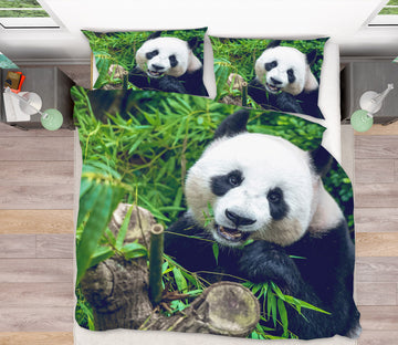 3D Panda 63174 Bed Pillowcases Quilt