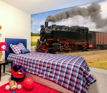 3D Steam Train 291 Vehicle Wall Murals