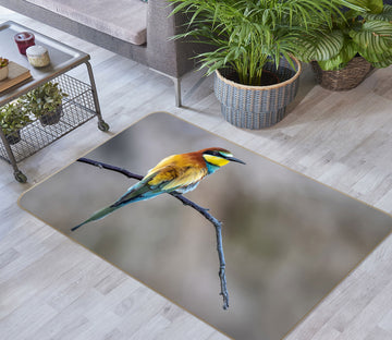 3D Bird 30062 Non Slip Rug Mat