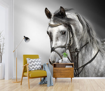 3D White Horse 02 Wall Murals Wallpaper AJ Wallpaper 2 