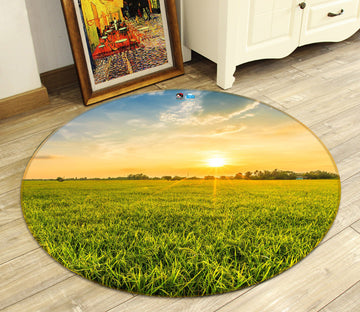 3D Grass 81083 Round Non Slip Rug Mat