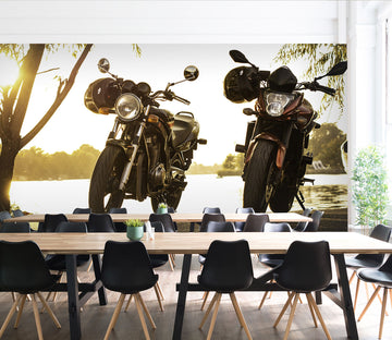3D Motorcycle River 133 Vehicle Wall Murals