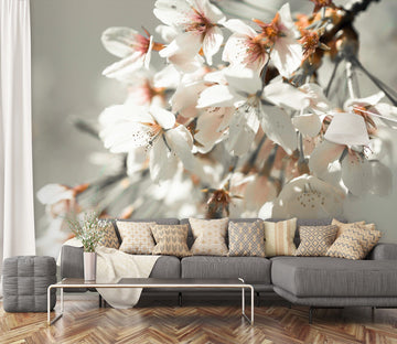 3D Blooming Flower 1408 Assaf Frank Wall Mural Wall Murals Wallpaper AJ Wallpaper 2 