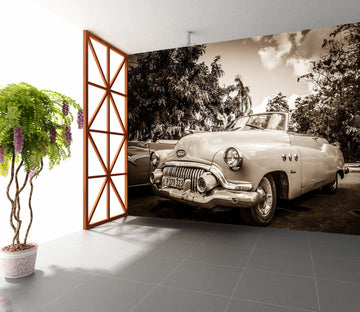 3D Park Convertible 353 Vehicle Wall Murals