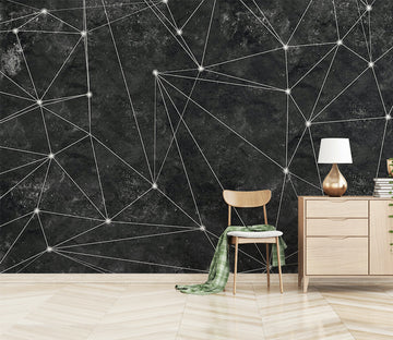 3D Black Background WG092 Wall Murals