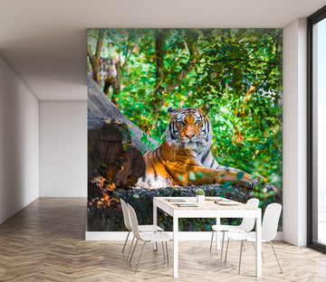 3D Siberian Tiger 343 Wall Murals Wallpaper AJ Wallpaper 2 