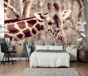 3D Cute Giraffe 417 Wall Murals