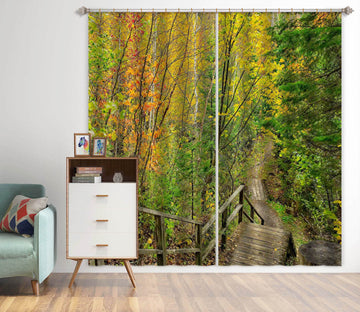 3D Forest Staircase 61218 Kathy Barefield Curtain Curtains Drapes