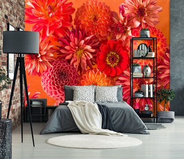3D Red Chrysanthemum 1424 Assaf Frank Wall Mural Wall Murals