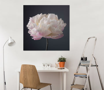 3D White Flowers 024 Assaf Frank Wall Sticker Wallpaper AJ Wallpaper 2 