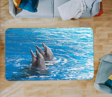 3D Dolphin 30215 Non Slip Rug Mat