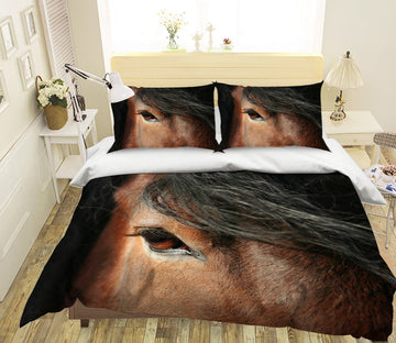 3D Horse Eye 1911 Bed Pillowcases Quilt Quiet Covers AJ Creativity Home 