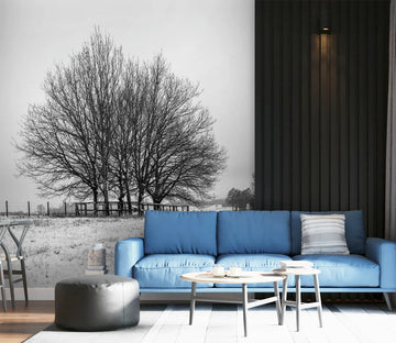 3D Winter Tree 041 Assaf Frank Wall Mural Wall Murals