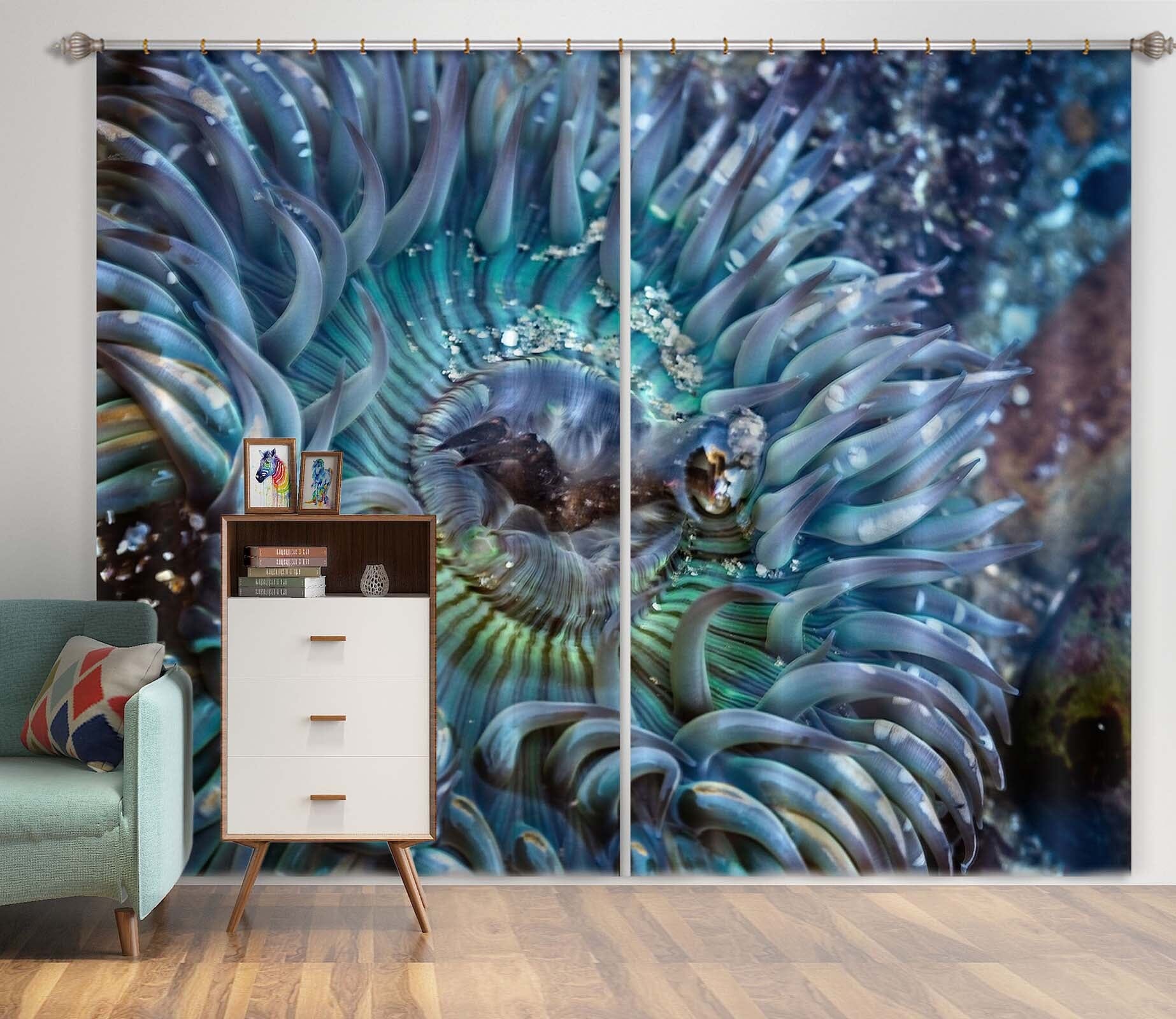 3D Tidepool Treasure 075 Kathy Barefield Curtain Curtains Drapes Curtains AJ Creativity Home 