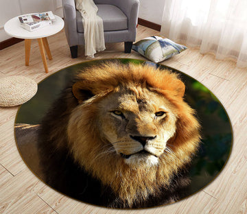 3D Lion 82253 Animal Round Non Slip Rug Mat