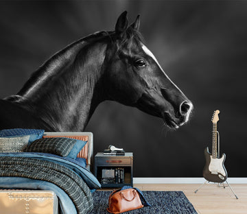 3D Dark Horse 2024 Wall Murals Wallpaper AJ Wallpaper 2 