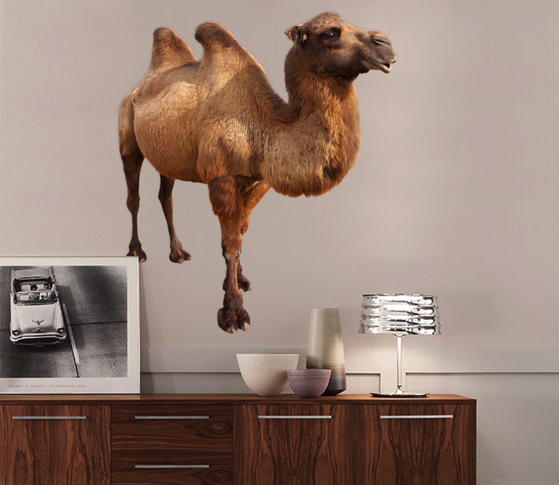 3D Camel 024 Animals Wall Stickers Wallpaper AJ Wallpaper 