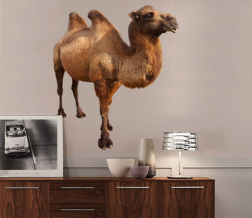 3D Camel 024 Animals Wall Stickers Wallpaper AJ Wallpaper 
