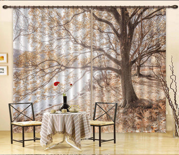 3D Lakeside Tree 069 Assaf Frank Curtain Curtains Drapes