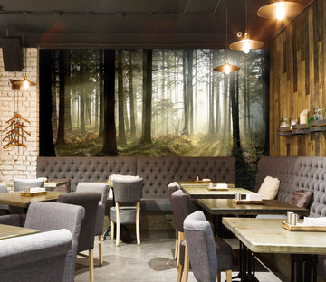 3D Sunny Forest 323 Wall Murals Wallpaper AJ Wallpaper 2 