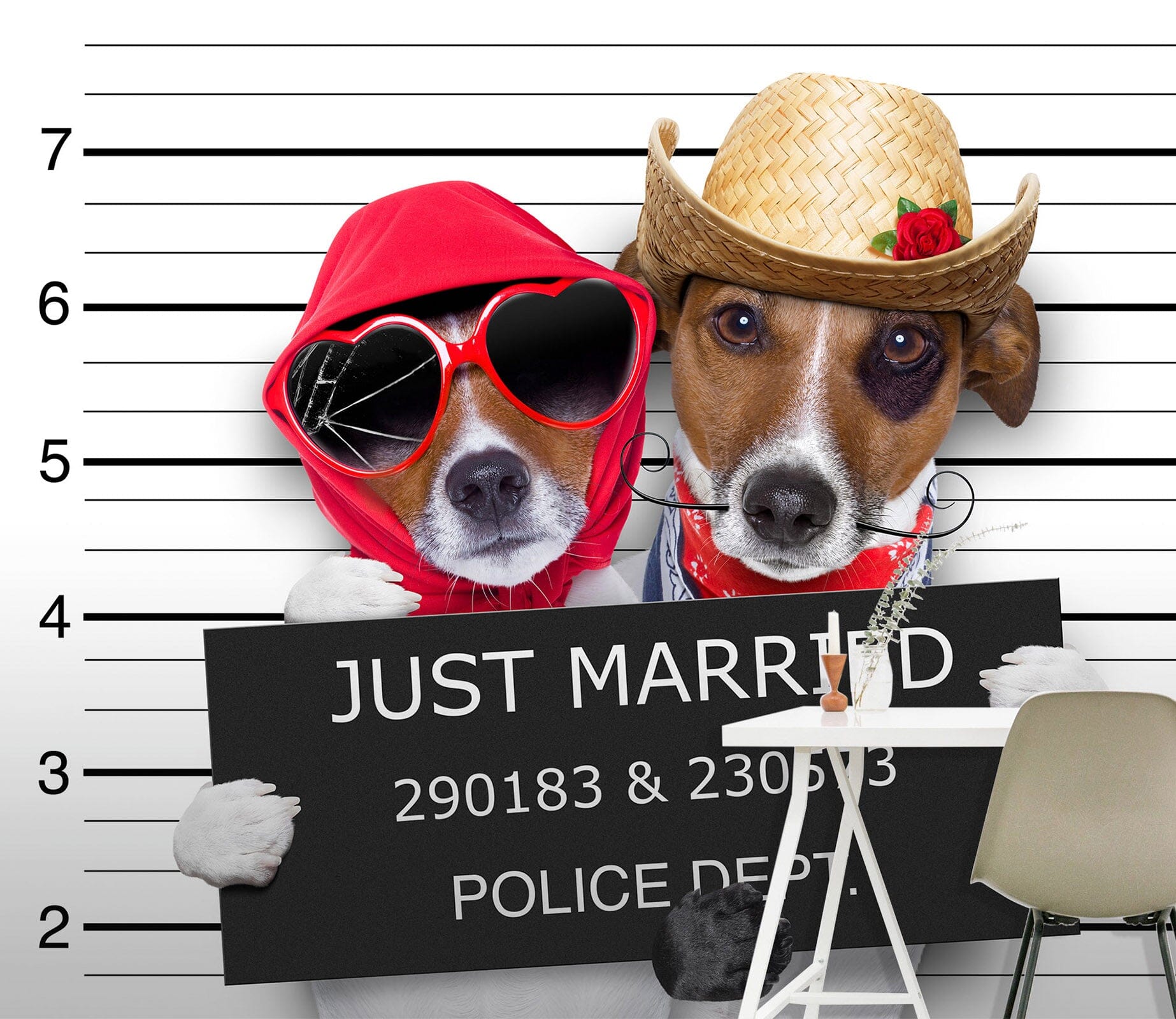 3D Puppy Sunglasses 378 Wall Murals Wallpaper AJ Wallpaper 2 