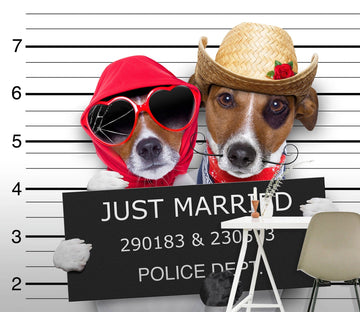 3D Puppy Sunglasses 378 Wall Murals Wallpaper AJ Wallpaper 2 
