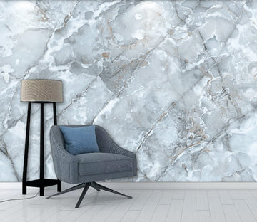 3D Marble Pattern WG223 Wall Murals