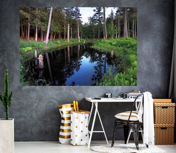 3D Forest River 102 Jerry LoFaro Wall Sticker Wallpaper AJ Wallpaper 2 