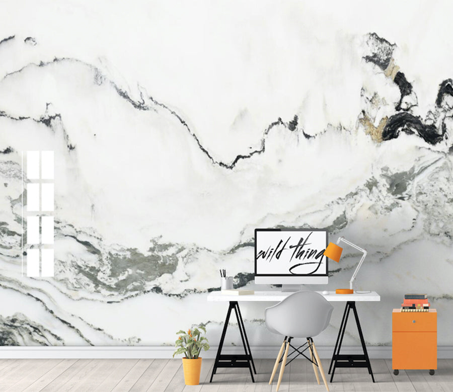 3D Ink Abstraction WG030 Wall Murals