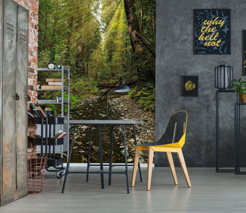 3D Tree Creek 61172 Kathy Barefield Wall Mural Wall Murals