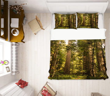3D Forest 16127 Bed Pillowcases Quilt