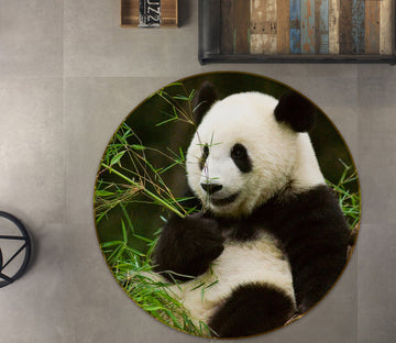 3D Panda 37177 Animal Round Non Slip Rug Mat