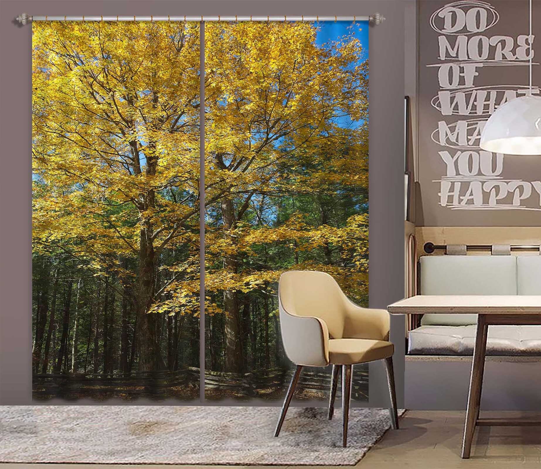 3D Sunny Forest 049 Kathy Barefield Curtain Curtains Drapes Curtains AJ Creativity Home 