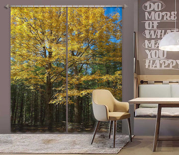 3D Sunny Forest 049 Kathy Barefield Curtain Curtains Drapes Curtains AJ Creativity Home 