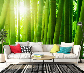 3D Green Bamboo Forest 1405 Wall Murals Wallpaper AJ Wallpaper 2 