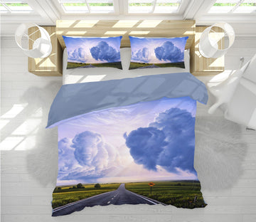 3D Buffalo Crossing 2115 Jerry LoFaro bedding Bed Pillowcases Quilt Quiet Covers AJ Creativity Home 